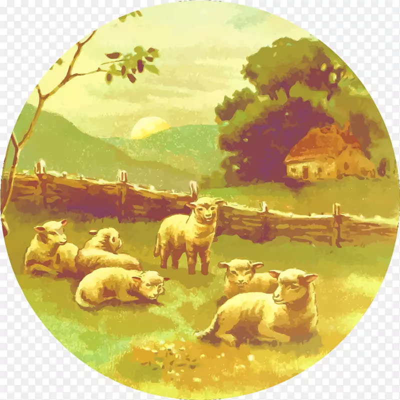 羊剪艺术-羔羊