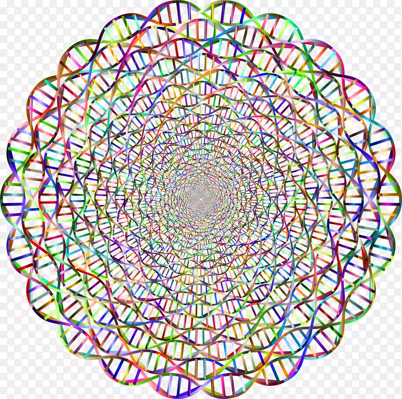 dna核酸双螺旋圆计算机图标dna