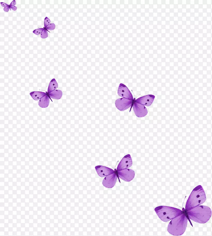 蝴蝶电脑图标剪辑艺术-丁香