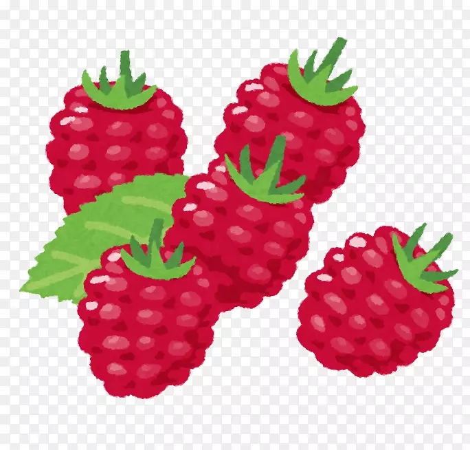 覆盆子食物水果草莓覆盆子