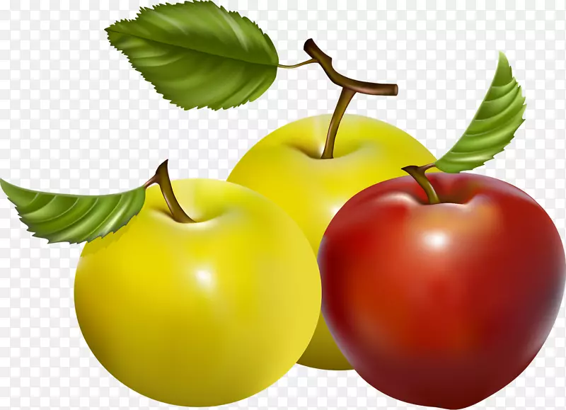 苹果水果食品蔬菜浆果