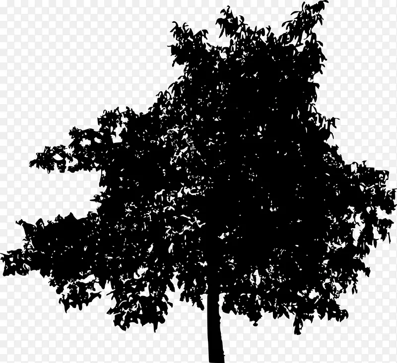 树木木本植物剪贴画-树透明