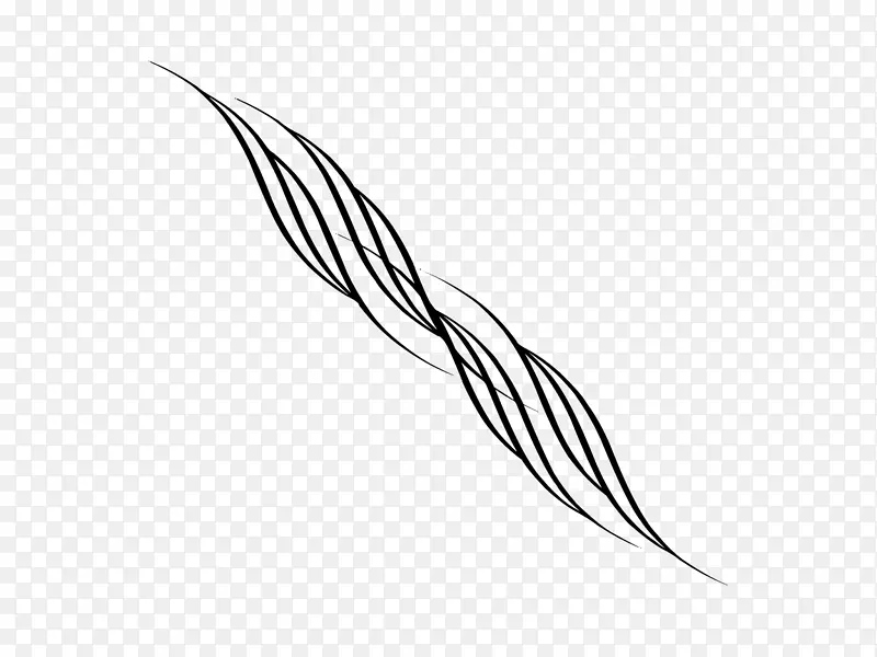 线条艺术羽毛单色摄影.塔图