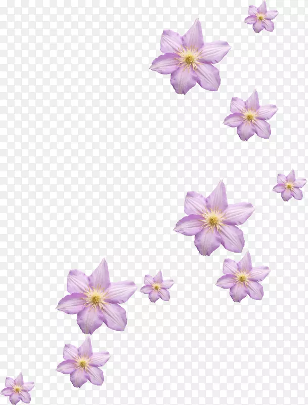 花卉水彩画剪贴画