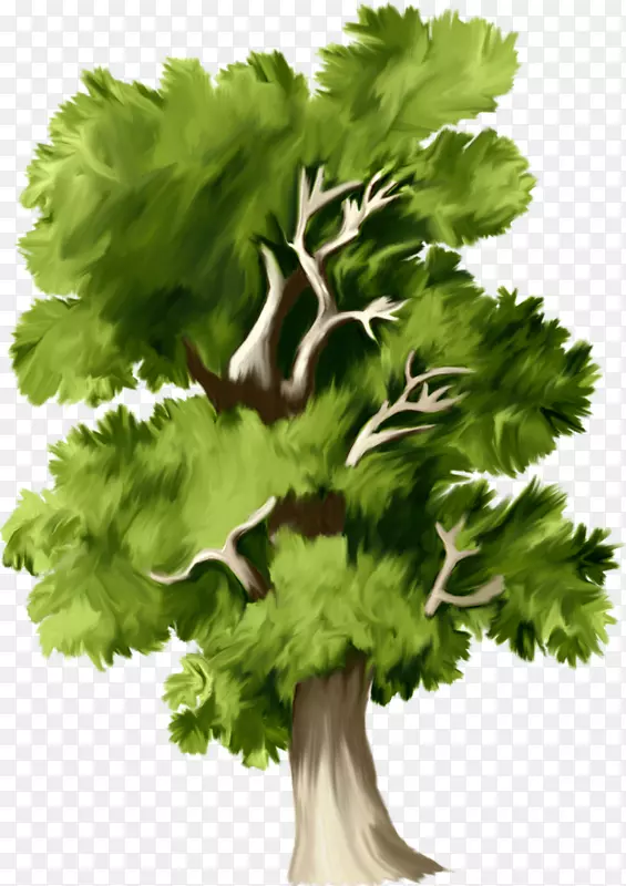 树状网页剪贴画-森林