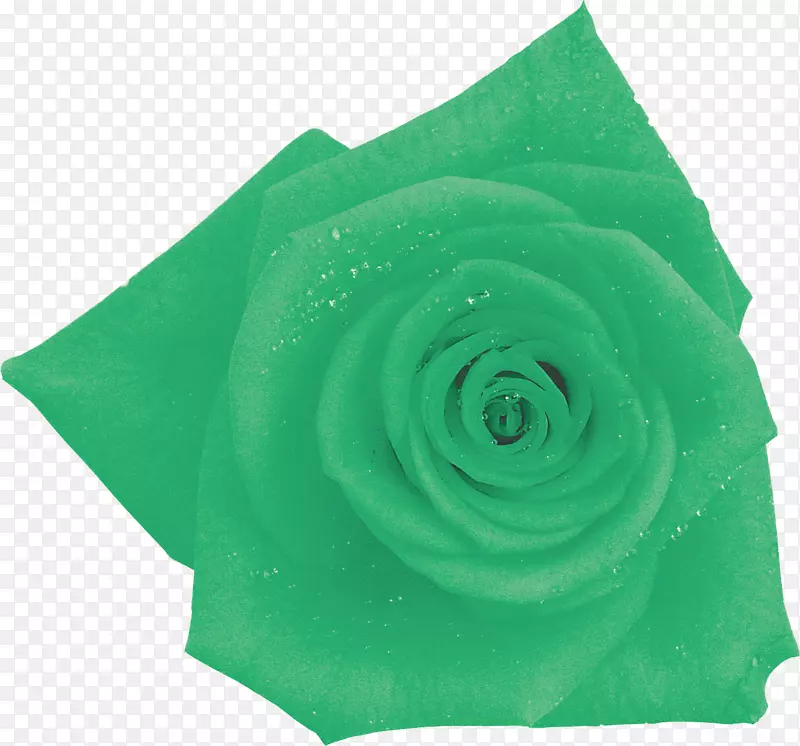 花园玫瑰切花绿色摄影-蓝色玫瑰