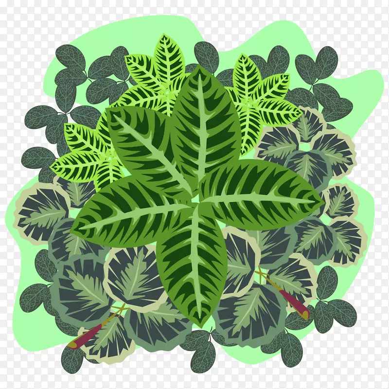 植物有机体叶-四叶三叶草