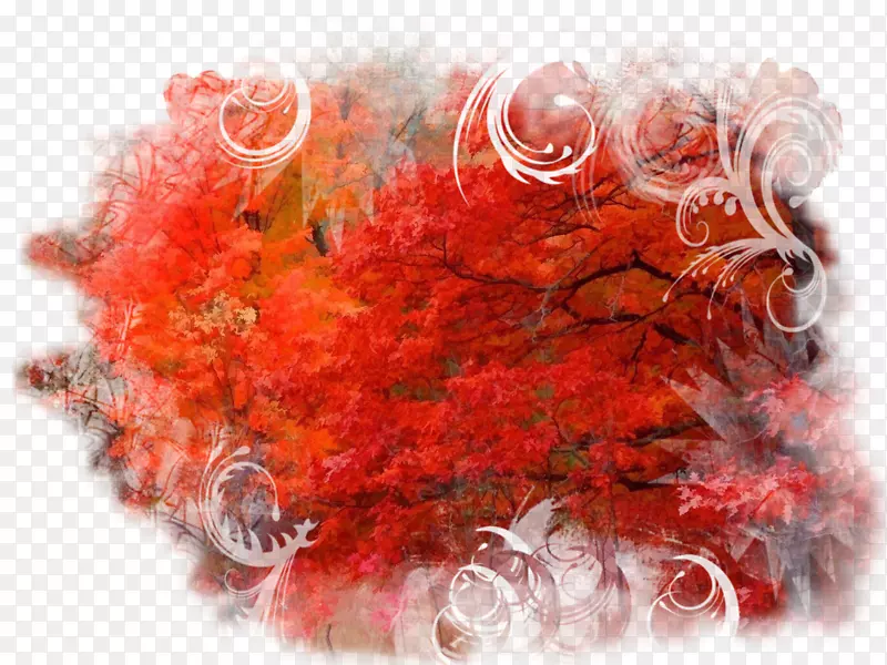 红色拼贴花剪贴画-秋季