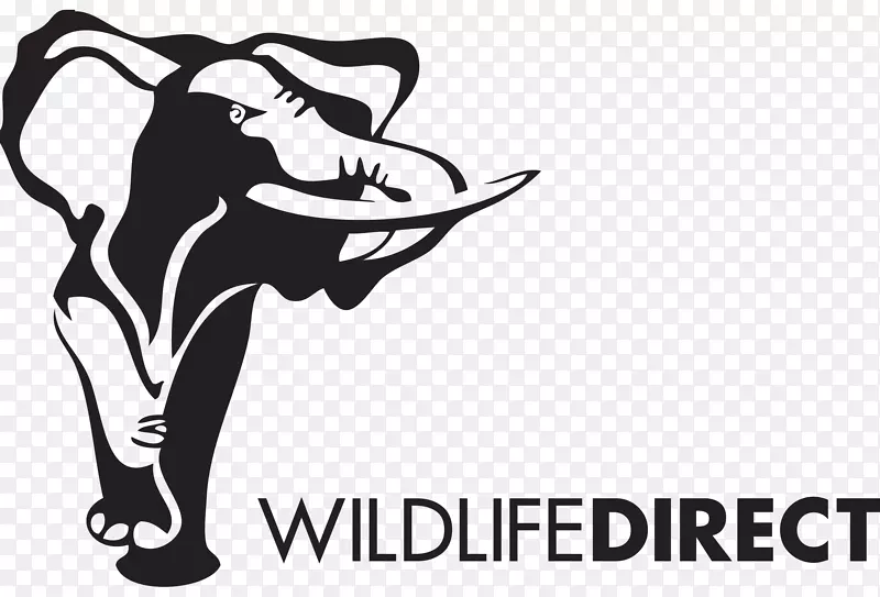 卢瓦野生动物保护协会直接的野生动物保护组织-大象