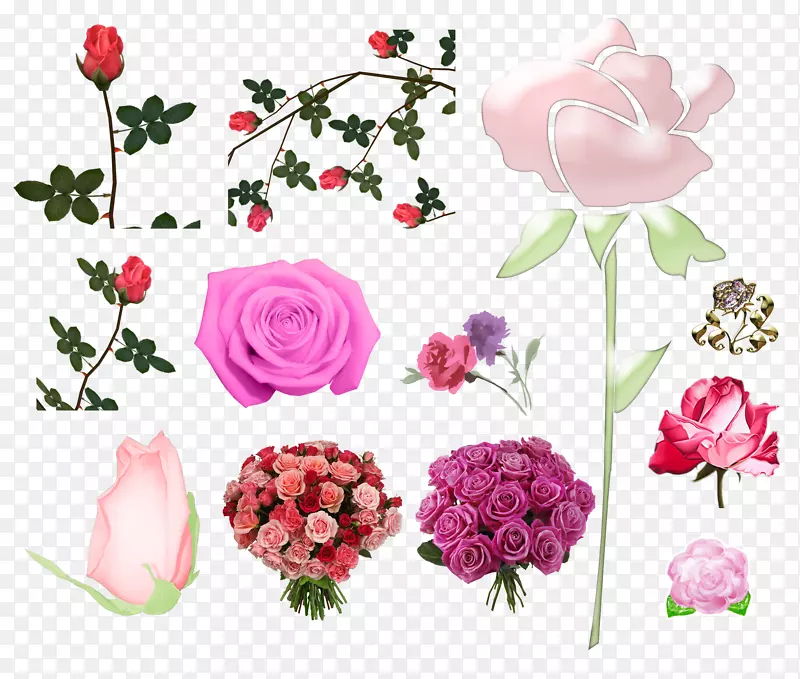花园玫瑰粉红蜈蚣玫瑰切花-粉红色玫瑰