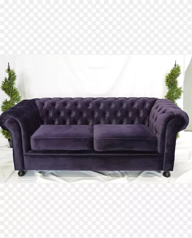 沙发沙发床纺织品丝绒椅沙发