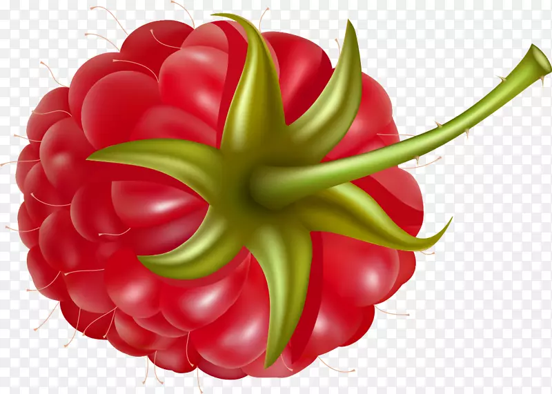 红莓果夹艺术-浆果