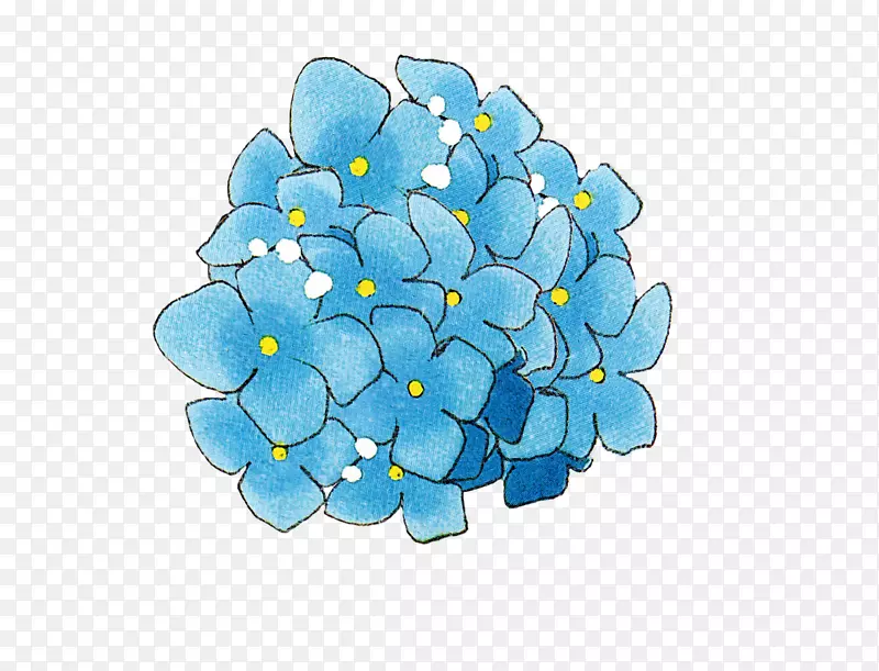 法国绣球花瓣光滤蓝-花
