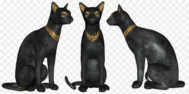 孟买猫哈瓦那棕色黑猫家用短毛猫剪贴画-埃及