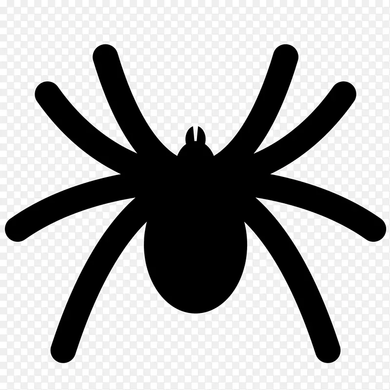 蜘蛛动画剪辑艺术-蜘蛛