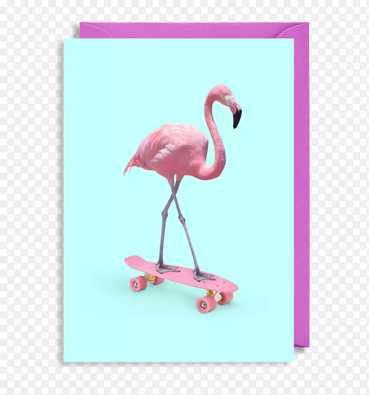 海报滑板艺术作品-火烈鸟