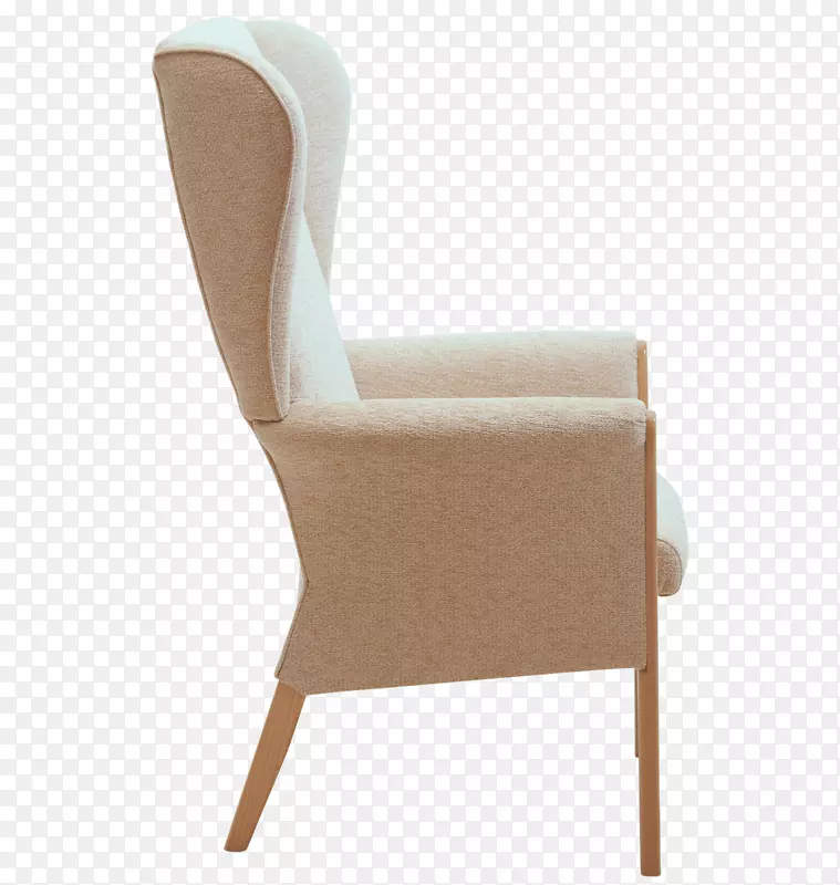 椅子，家具，躺椅，沙发椅