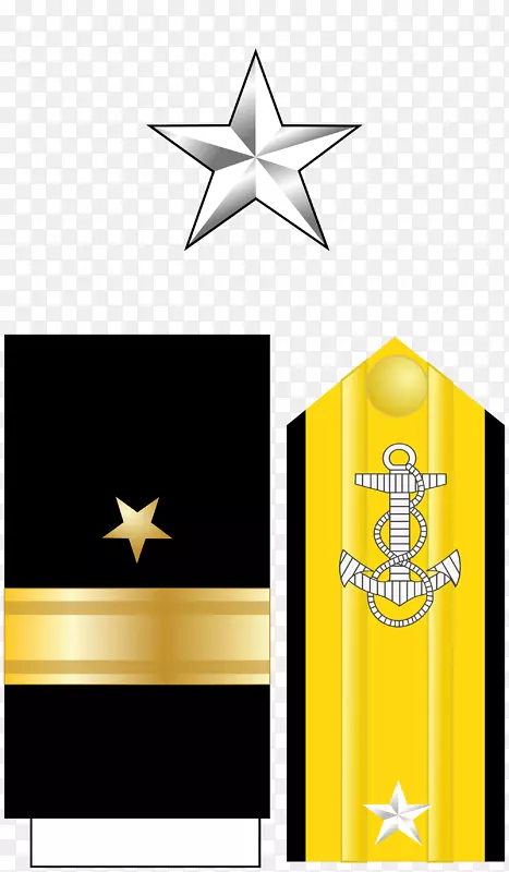 海军少将美国海军军官军衔舰队海军上将