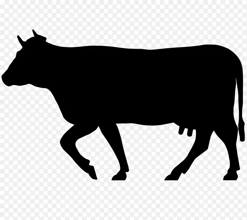 肉牛，乳牛，奶牛场-克拉拉贝尔奶牛