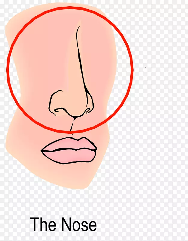 唇呼吸慢性阻塞性肺病膈肌呼吸鼻