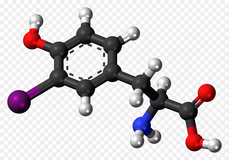 酪氨酸反向三碘甲状腺原氨酸去甲肾上腺素氨基酸分子