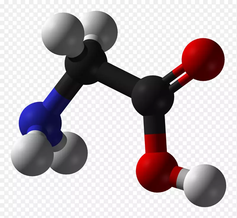 甘氨酸分子氨基酸官能团蛋白分子