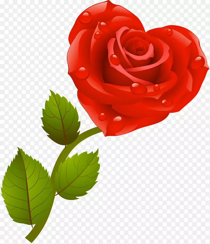 爱红蜈蚣玫瑰花园玫瑰-玫瑰