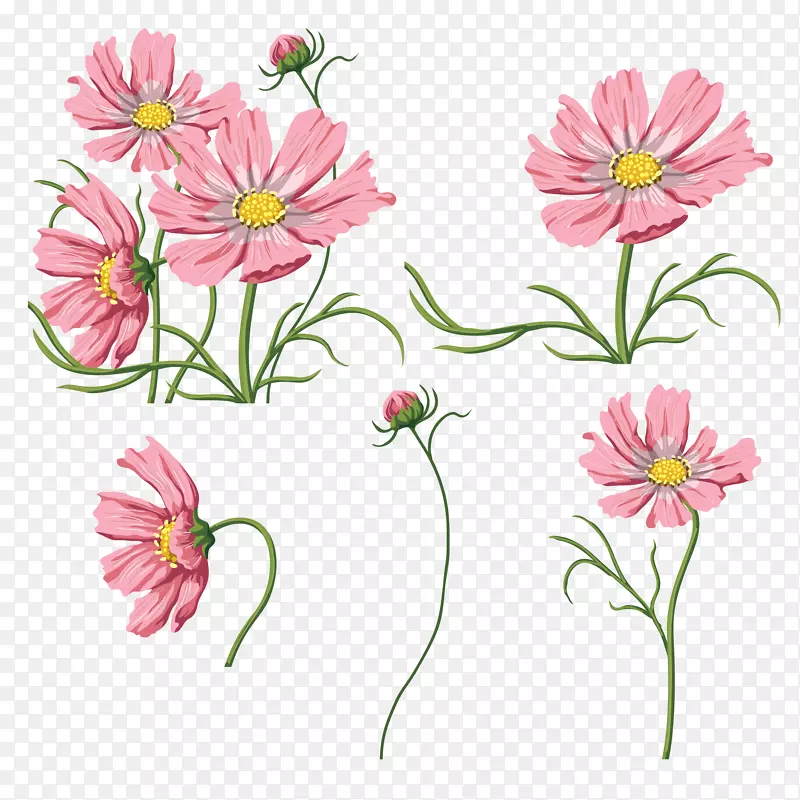 切花光栅图形植物区系.花卉插图