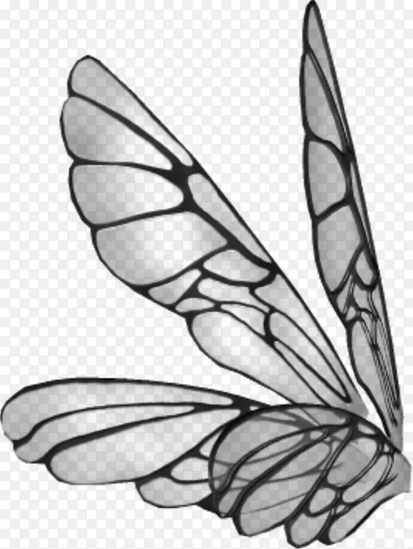 画蝴蝶夹艺术-翅膀