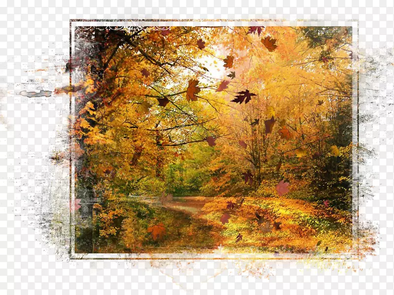 桌面壁纸秋季高清电视显示分辨率秋季