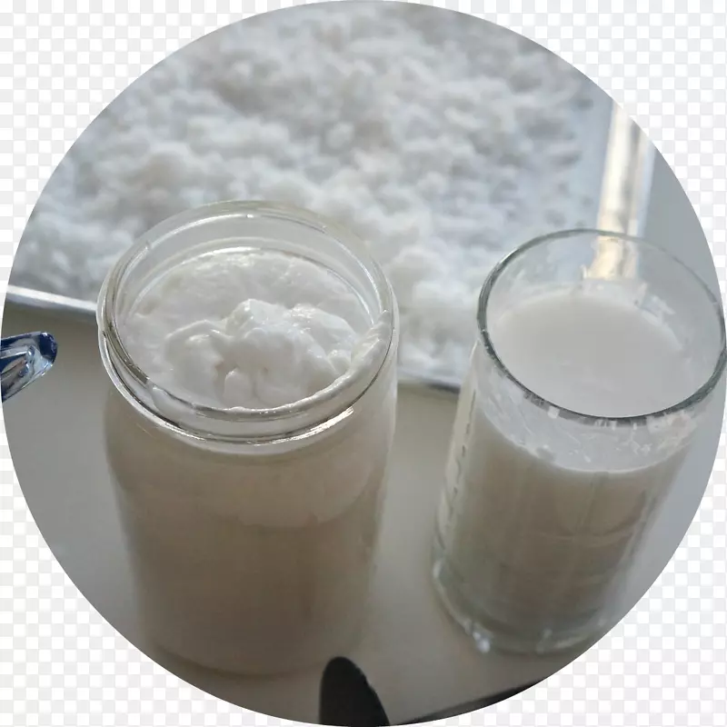 健康农场营养奶制品习惯椰奶