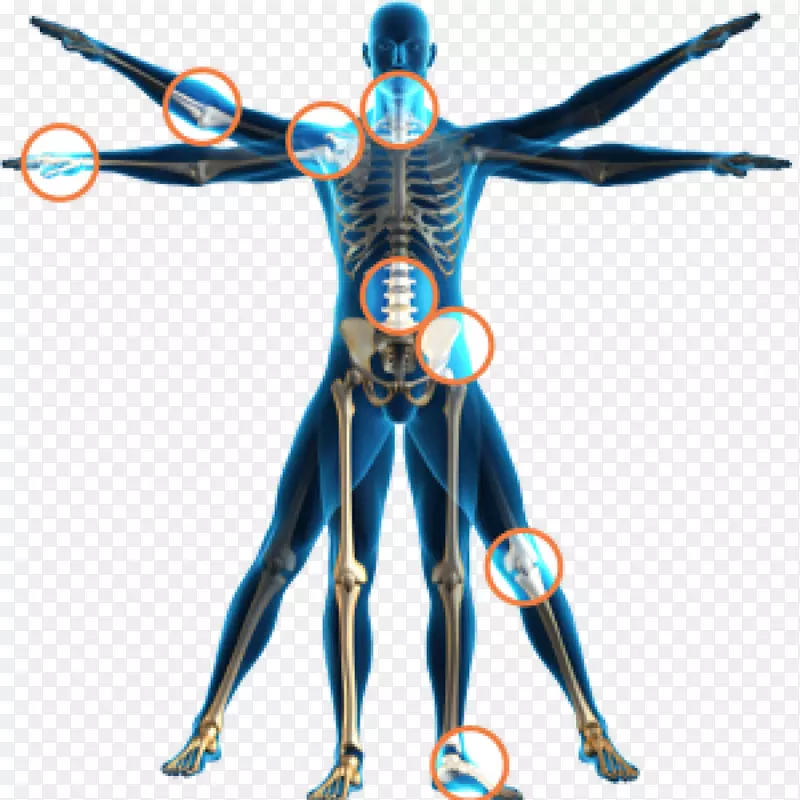 理疗健康脊柱调整人体骨骼