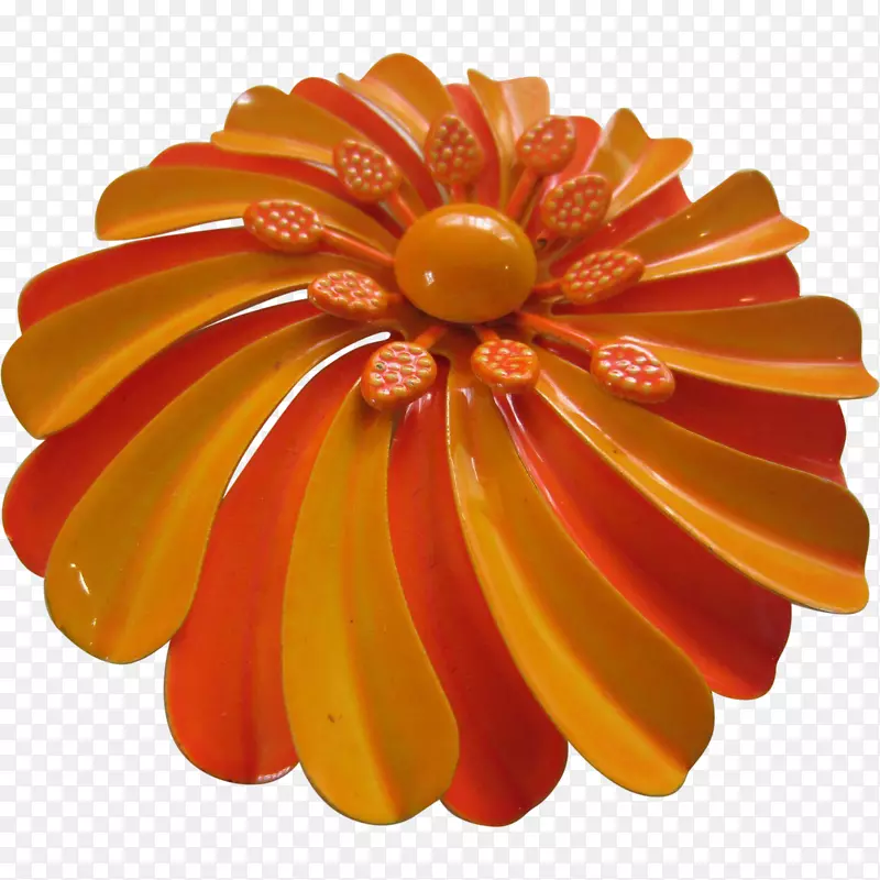 切花：越界雏菊科花瓣-橘子