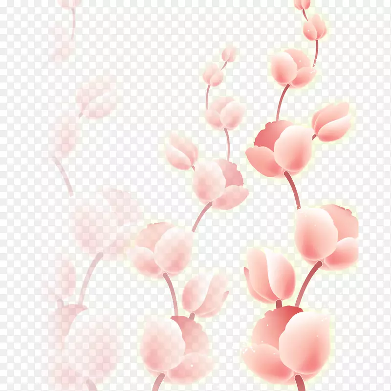 木兰科开花植物St.au.150 min.v.unc.nr ad-粉红色花