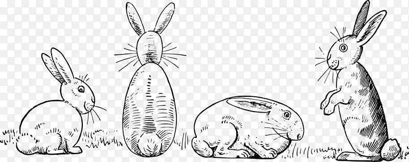 画50只动物变得容易：一本对年轻艺术家有用的书；开始和完成你的草图的方法清楚地显示了一步的白兔剪贴画-兔子兔。