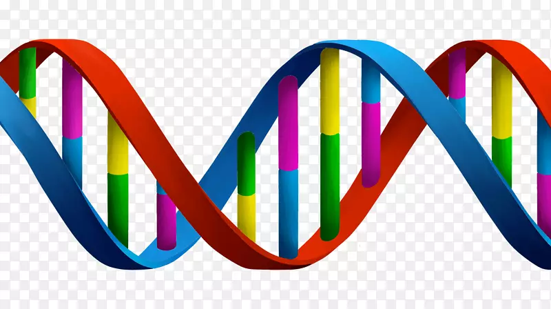 dna和rna细胞遗传学剪贴画