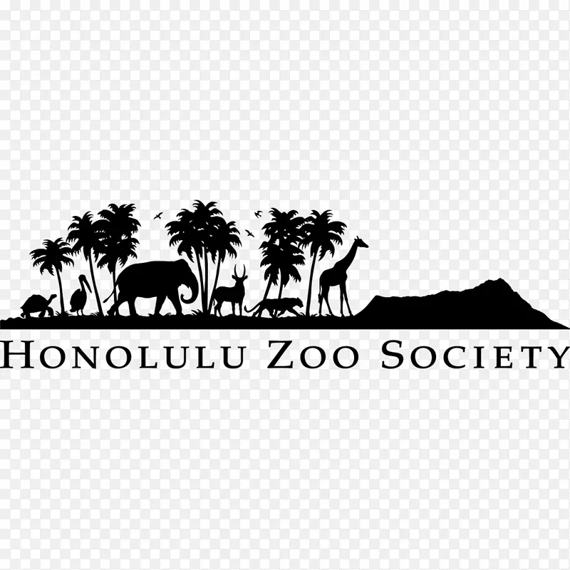 檀香山动物园怀基基海洋生物公园夏威夷公共水族馆-动物园
