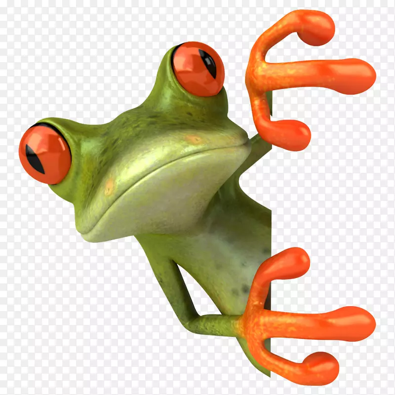 蛙类-免费绘画剪贴画-青蛙