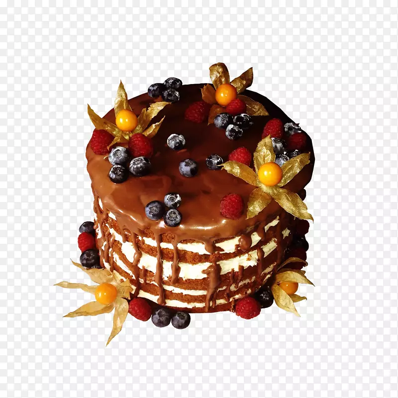 巧克力蛋糕水果蛋糕玉米饼甜点蛋糕
