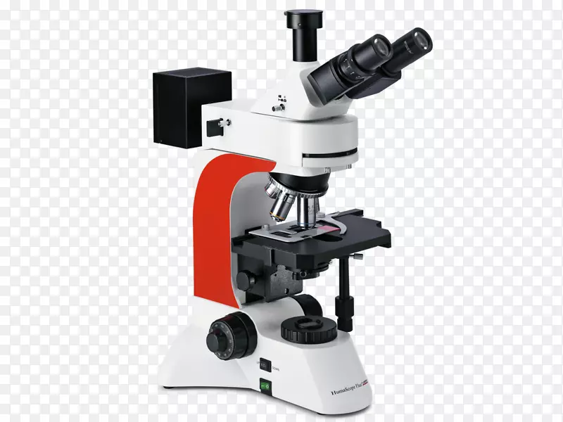 荧光显微镜发光二极管显微镜