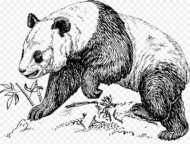 大熊猫熊红熊猫剪贴画-大猩猩
