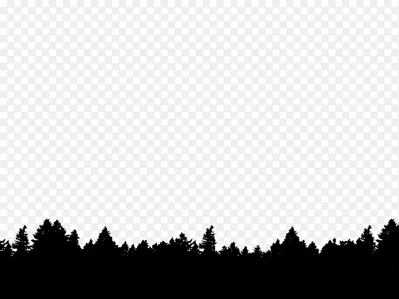 树木摄影剪影-森林