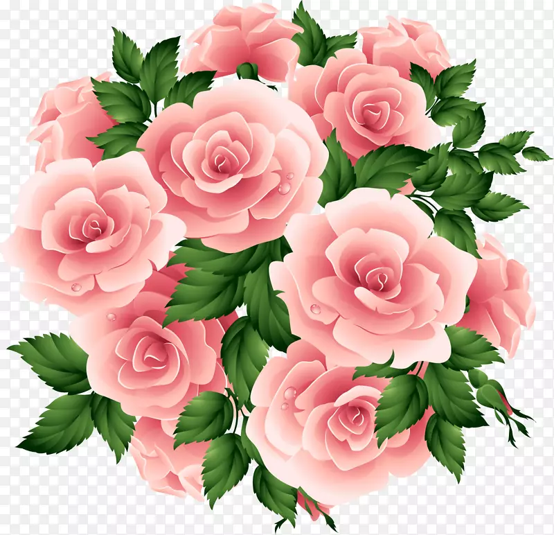 花园玫瑰-粉红色玫瑰
