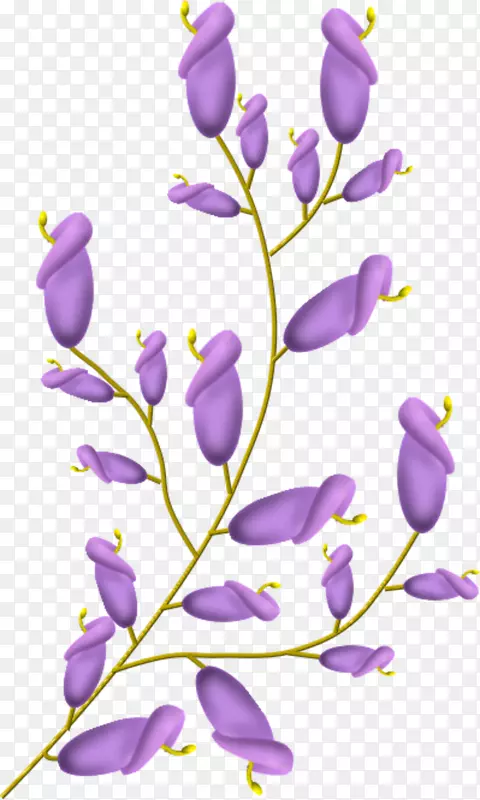 花卉剪贴画-花紫色