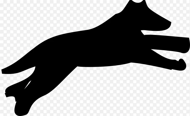 马耳他小狗达克斯犬猫-动物轮廓