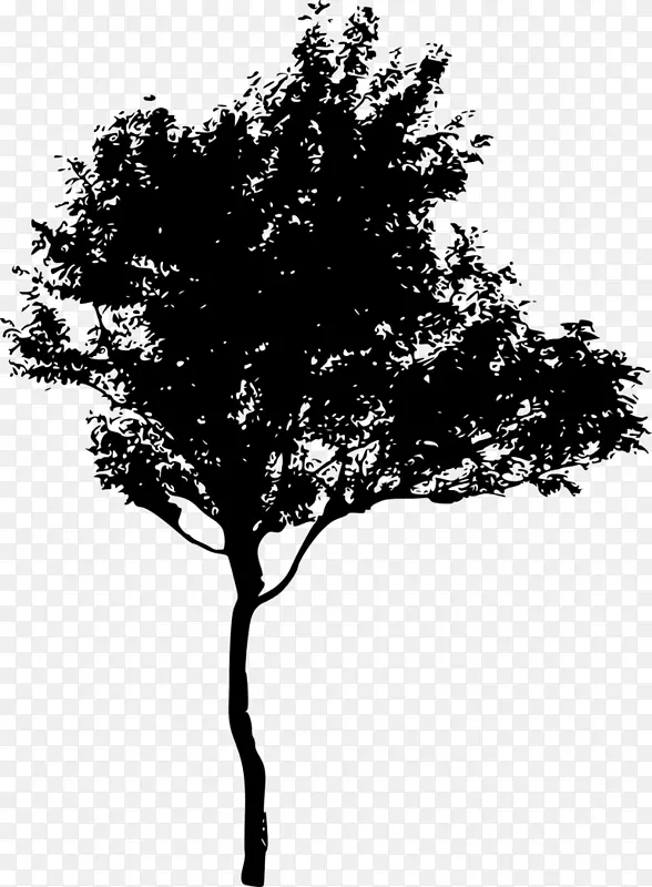 剪影树-免费红树林