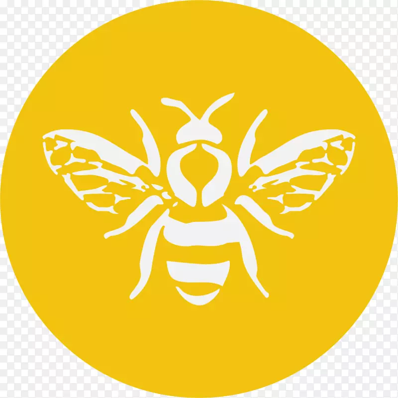 蜜蜂图形设计-蜜蜂