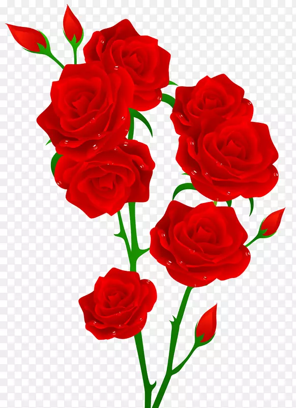 玫瑰插花艺术-牡丹