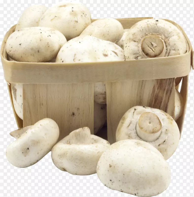 白木耳糖尿病饮食食用菌蘑菇