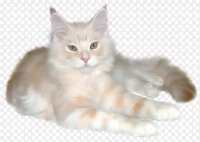 波斯猫布娃娃剪贴画猫爪